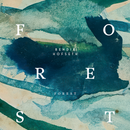 Bendik Hofseth - Forest – 2025 - 4LP-box – CCLPBOXFOREST