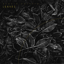 Bendik Hofseth – Pollen & Leaves – 2024 – CCD071