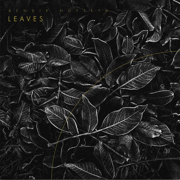 Bendik Hofseth – Pollen & Leaves – 2024 – CCD071